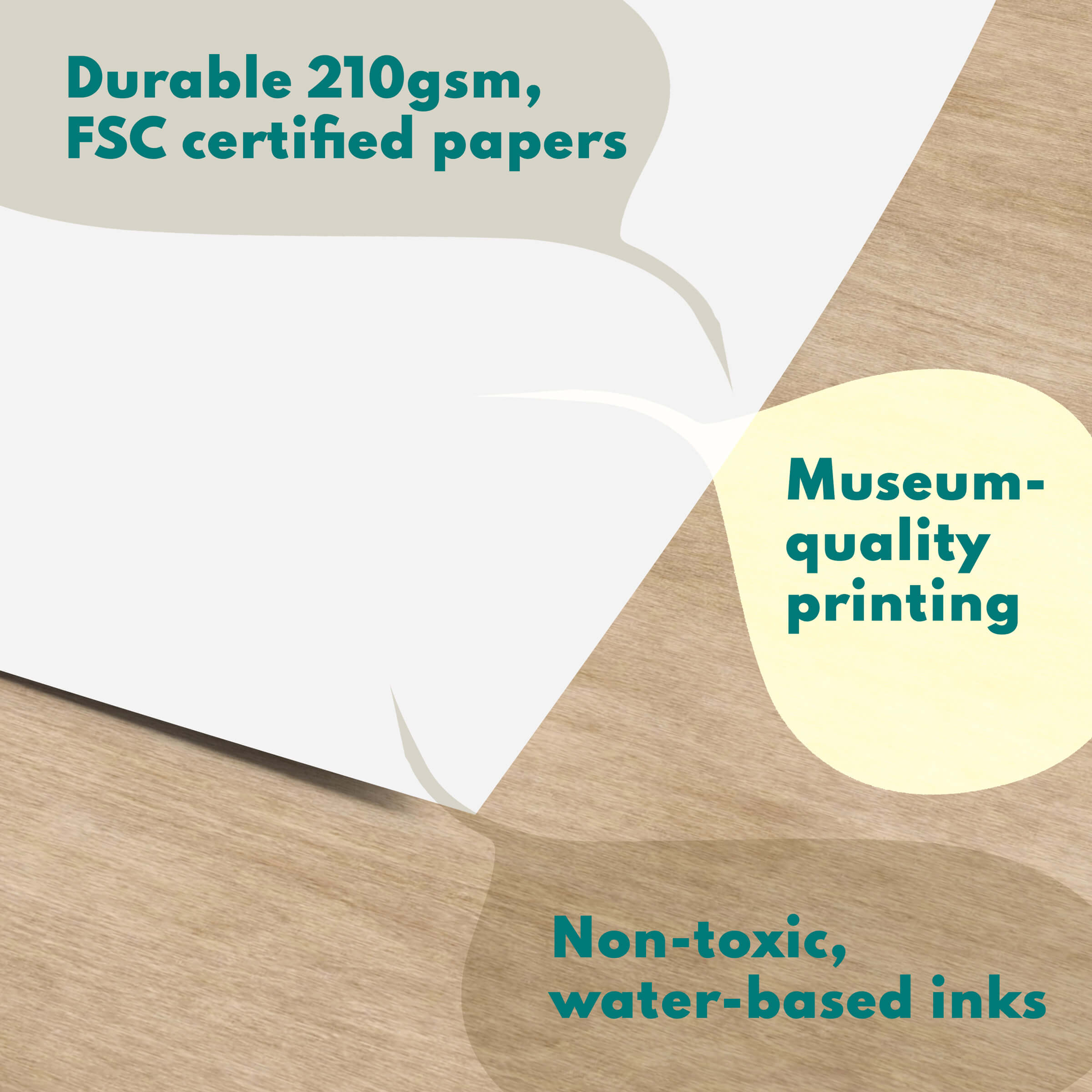Egg Fun Facts Print